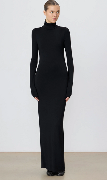 Éterne Long Sleeve Turtleneck Maxi Dress