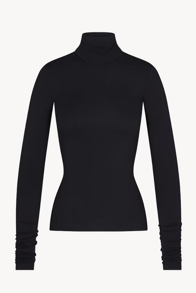 Éterne Fitted Turtleneck Top
