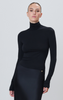 Éterne Fitted Turtleneck Top